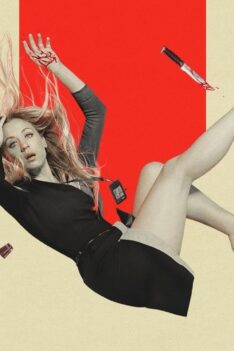 The Flight Attendant: A Comissária de Bordo (2020)